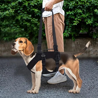 Rehabilitationsgeschirr für Hunde mit Griff & Hebebändern – Unterstützung für ältere und gelenkkranke Hunde
