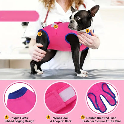 Postoperativer Hundebody | Genesungsbody für Hunde