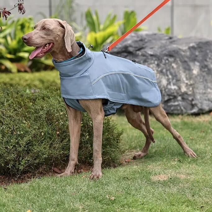Softshell Hundemantel Rauchblau Wind +wasserdicht mit Gummizug XS–2XL