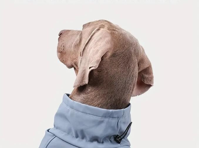 Softshell Hundemantel Rauchblau Wind +wasserdicht mit Gummizug XS–2XL