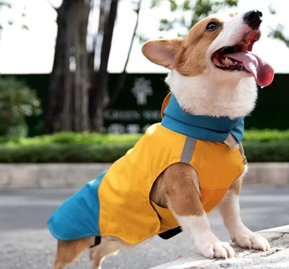 Regenjacke für Hunde - Wasserdicht Klettverschluss hochwertiger Ausführung
