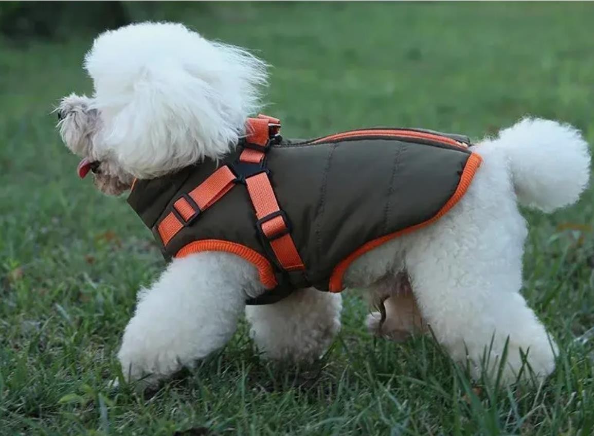 Winter Hundemantel Braun-Orange – Wasserdicht und  Geschirrfunktion