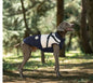 Hundemantel Winter Wasserdicht mit Geschirr Mittlere und grosse Hunde Blau-Beige