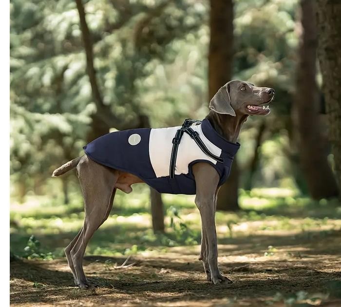 Hundemantel Winter Wasserdicht mit Geschirr Mittlere und grosse Hunde Blau-Beige