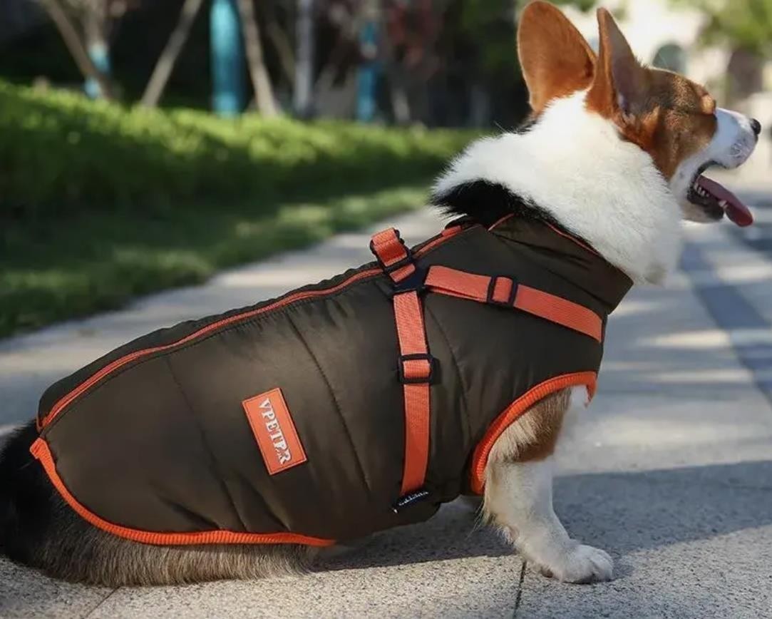 Winter Hundemantel Braun-Orange – Wasserdicht und  Geschirrfunktion