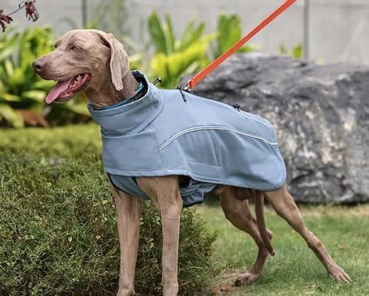 Softshell Hundemantel Rauchblau Wind +wasserdicht mit Gummizug XS–2XL