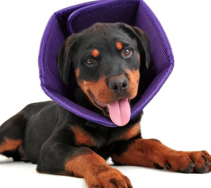 Halskrause für Hund , Schutzkragen Hund, Leckschutz Atmungsaktiver weich