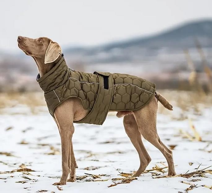 Hundemantel Winter wasserdicht warm Navy mit Nähten, edel – verschiedene Größen