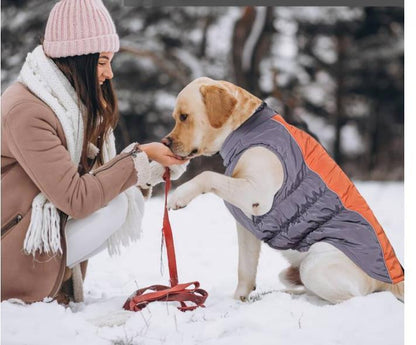 Hundemantel Wasserfest Für Kleine, Mittlere und Große Hunde