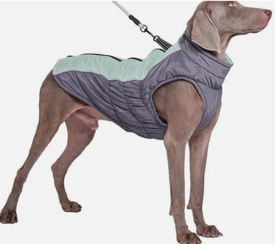 Hundemantel Wasserfest Für Kleine, Mittlere und Große Hunde