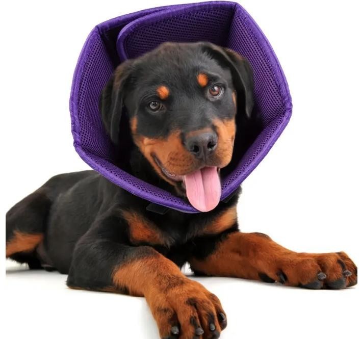 Halskrause für Hund , Schutzkragen Hund, Leckschutz Atmungsaktiver weich