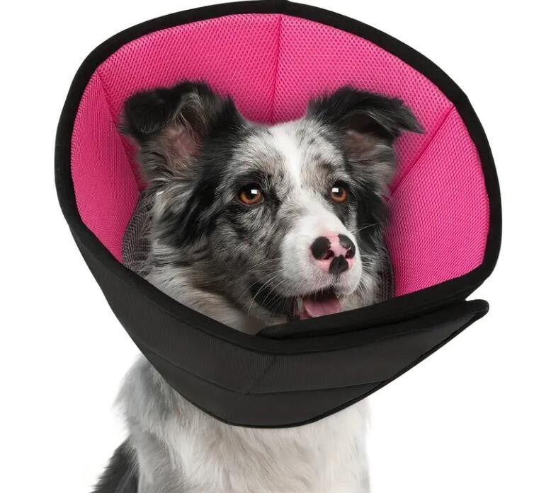 Halskrause für Hund , Schutzkragen Hund, Leckschutz Atmungsaktiver weich