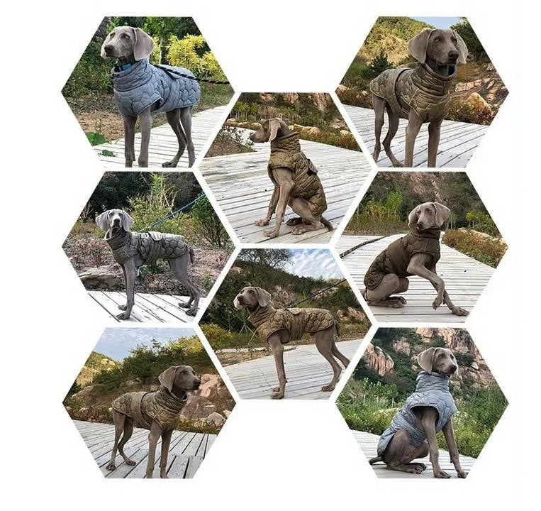 Hundemantel Winter wasserdicht warm Navy mit Nähten, edel – verschiedene Größen