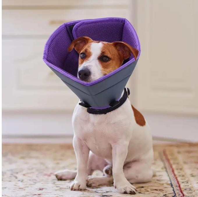 Halskrause für Hund , Schutzkragen Hund, Leckschutz Atmungsaktiver weich