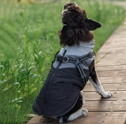 Hundemantel mit Geschirr Winddicht für kleine Hunde Rot /Schwarz