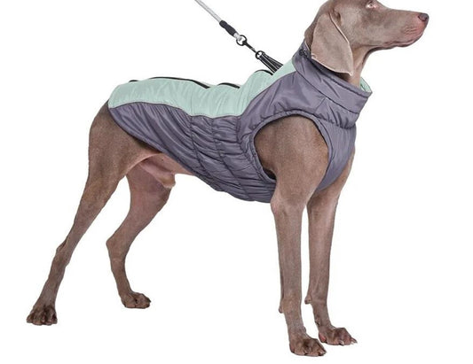 Hundemantel Wasserfest Für Kleine, Mittlere und Große Hunde