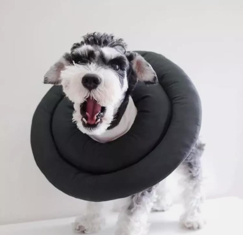 Halskrause für Hunde Schutzkragen Hund, Leckschutz Atmungsaktiv