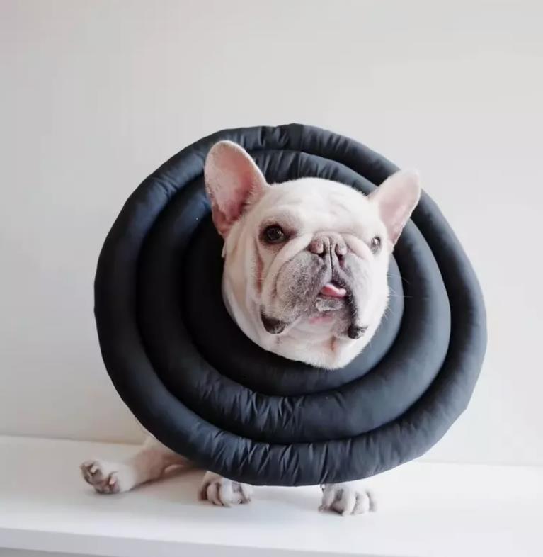 Halskrause für Hunde Schutzkragen Hund, Leckschutz Atmungsaktiv