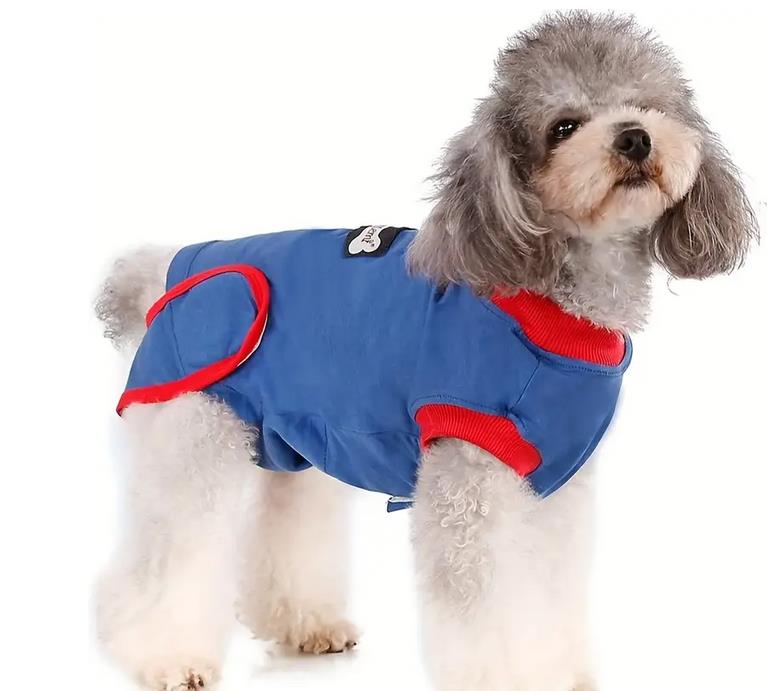 Postoperativer Hundebody | Genesungsbody für Hunde
