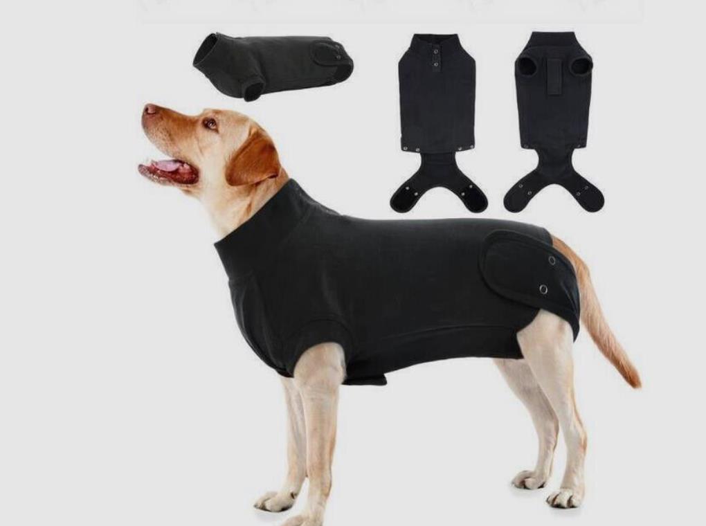 Postoperativer Hundebody | Genesungsbody für Hunde