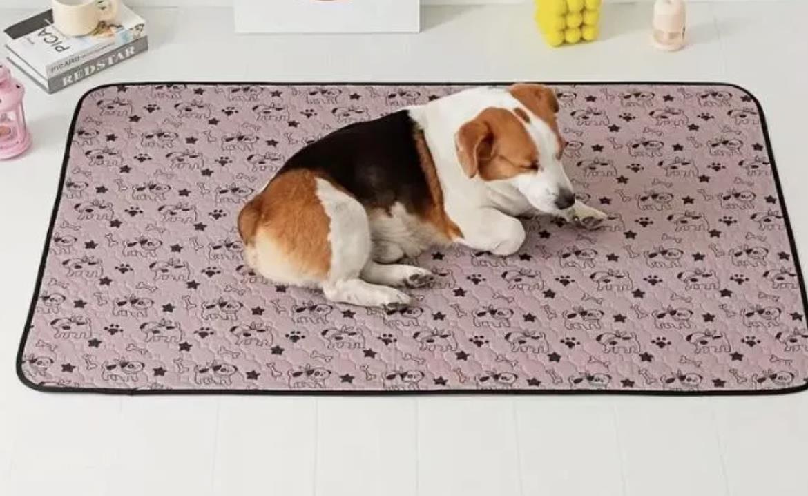 Wasserdichte Trainingsunterlagen Pipi Decke Haustier Pee Pad Saugfähig Waschbar!