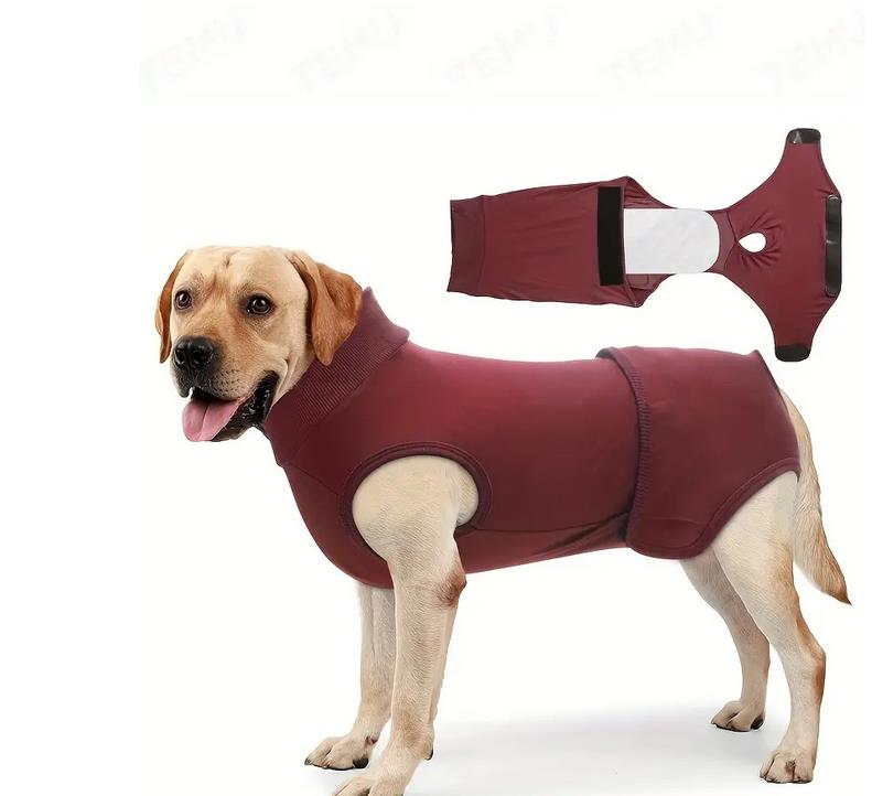 Postoperativer Hundebody | Genesungsbody für Hunde