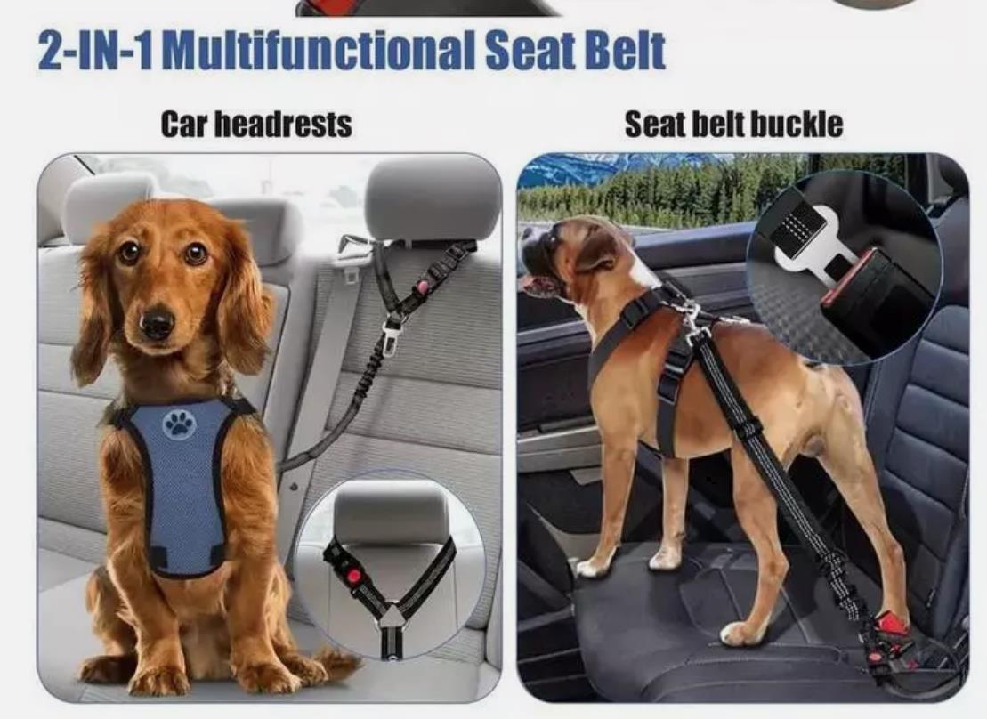 4Varianten Hundesicherheitsgurt Auto  Sicherheit