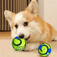 2x  Hundebälle  Interaktives Hundespielzeug mit Geräusch