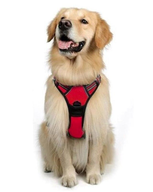 Hundegeschirr Anti-Zug NO-Pull – Atmungsaktiv, Reflektierend und Gepolstert