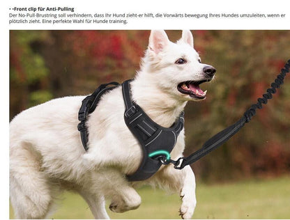 NO-Pull Hundegeschirr – Atmungsaktiv, Gepolstert & Reflektierend für Komfort und Kontrolle