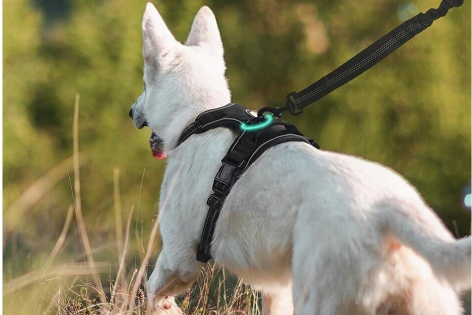 Hundegeschirr Anti-Zug NO-Pull-Geschirr atmungsaktiv reflektierend gepolstert