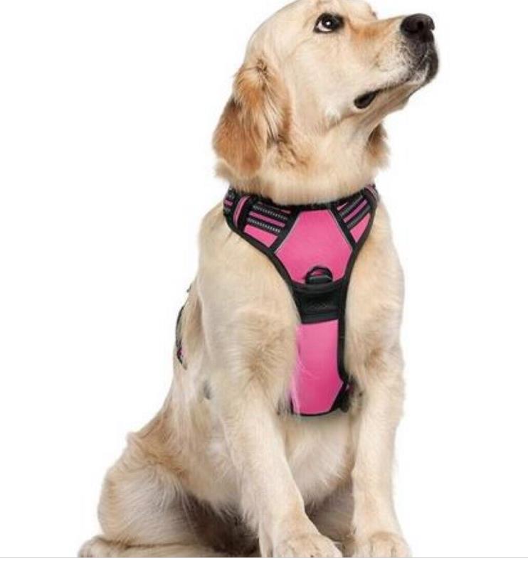 NO-Pull Hundegeschirr – Atmungsaktiv, Gepolstert & Reflektierend für Komfort und Kontrolle