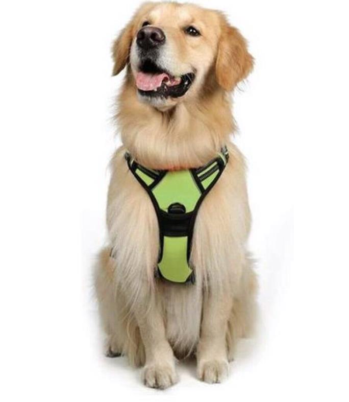 NO-Pull Hundegeschirr – Atmungsaktiv, Gepolstert & Reflektierend für Komfort und Kontrolle