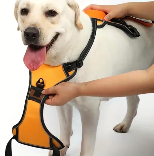 NEU! Hundegeschirr mit Eingebaute Einziehbare Leine