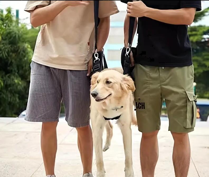 Hundetragetasche, Notfallrucksack, Hebehilfe bei Gelenkverletzungen, Schwäche