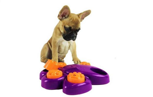 Mini Paw Hide Puzzle - interaktives Hundespielzeug