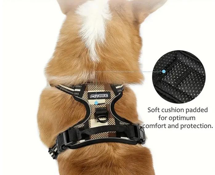 4 teiliges Exklusiv Set Hundegeschirr + Halsband+ Leine + Autosicherheitsgurt