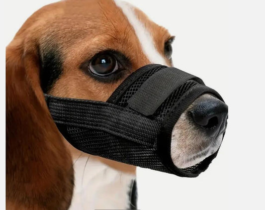Hunde-Sicherheits-Maulkorb Verstellbar leicht