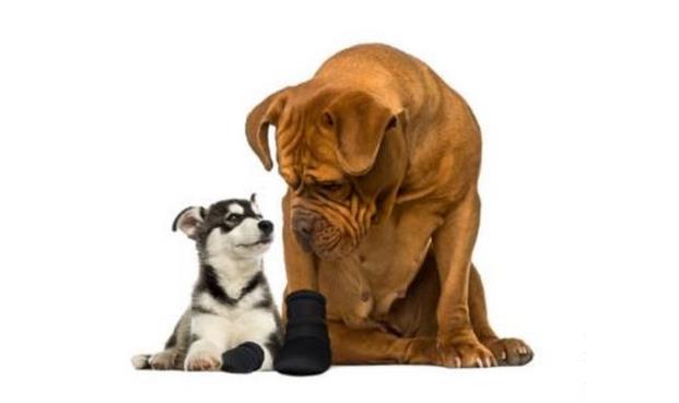 Hunde-Pfotenschutz  Schutzschuh  verschiedene Größen