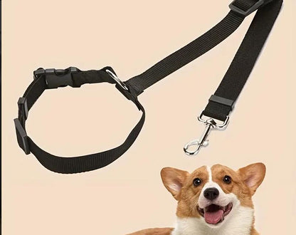 Sicherheitsgurt fürs Auto Kopfstütze, für kleine hunde bis 10 Kg