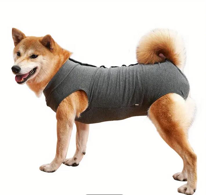 Postoperativer Hundebody | Genesungsbody für Hunde