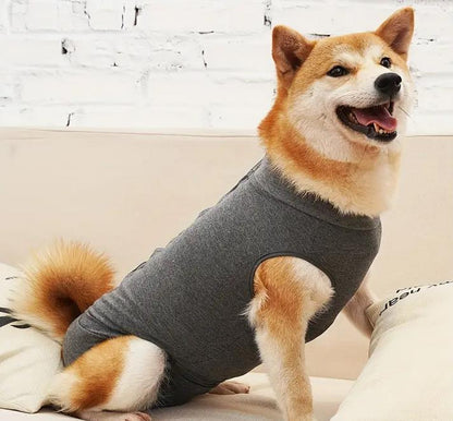 Postoperativer Hundebody | Genesungsbody für Hunde