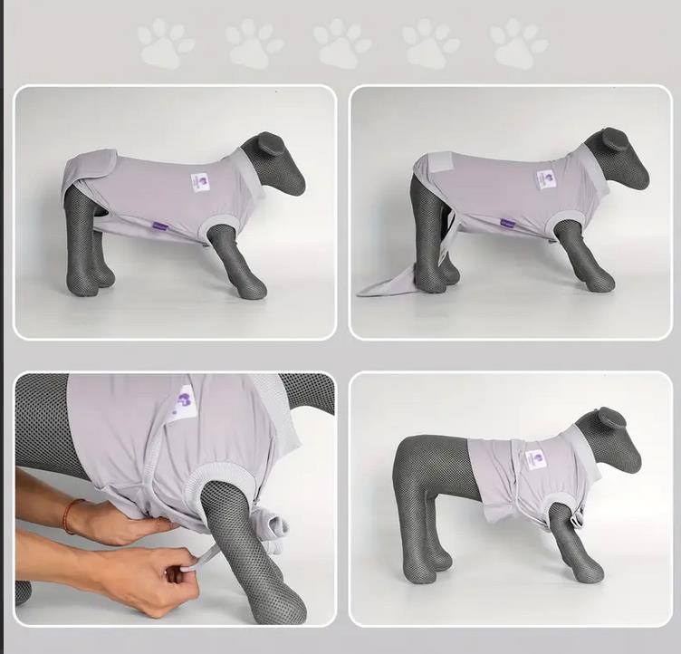 Postoperativer Hundebody | Genesungsbody für Hunde