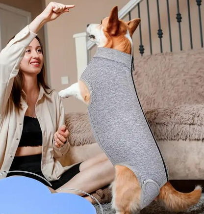 Postoperativer Hundebody | Genesungsbody für Hunde