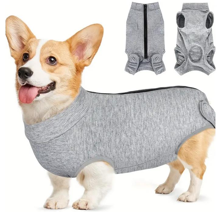 Postoperativer Hundebody | Genesungsbody für Hunde