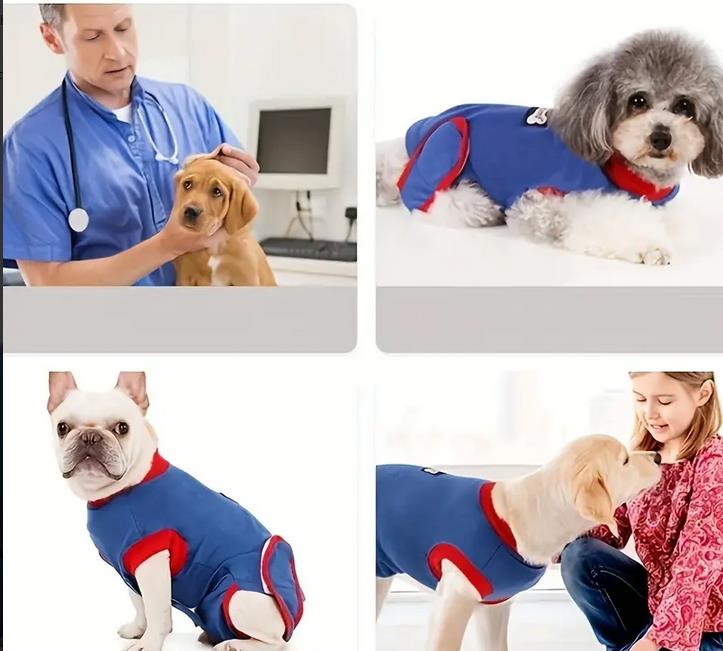 Postoperativer Hundebody | Genesungsbody für Hunde