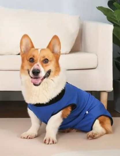 Postoperativer Hundebody | Genesungsbody für Hunde