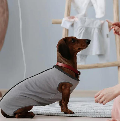 Postoperativer Hundebody | Genesungsbody für Hunde