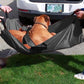Notfall-Tiertrage Mit Sicherheitsgurt, bis 110Kg Transporttrage Für Hunde