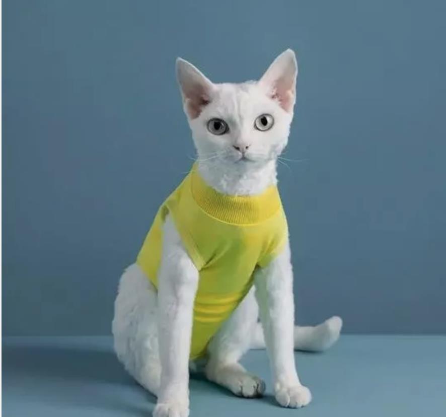 Flauschiger OP-Body für Katzen & kleine Hunde – Sanfter Wundschutz mit Stil